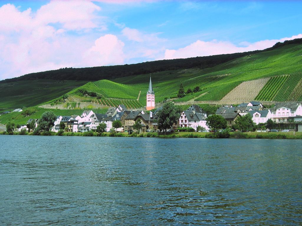 Ferienwohnung Am Moselufer زيل ان دير موسل المظهر الخارجي الصورة